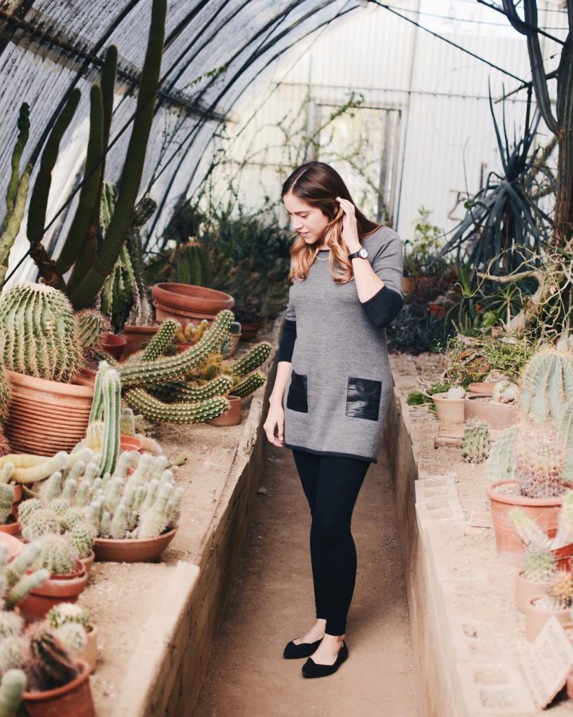fun things to do in palm springs