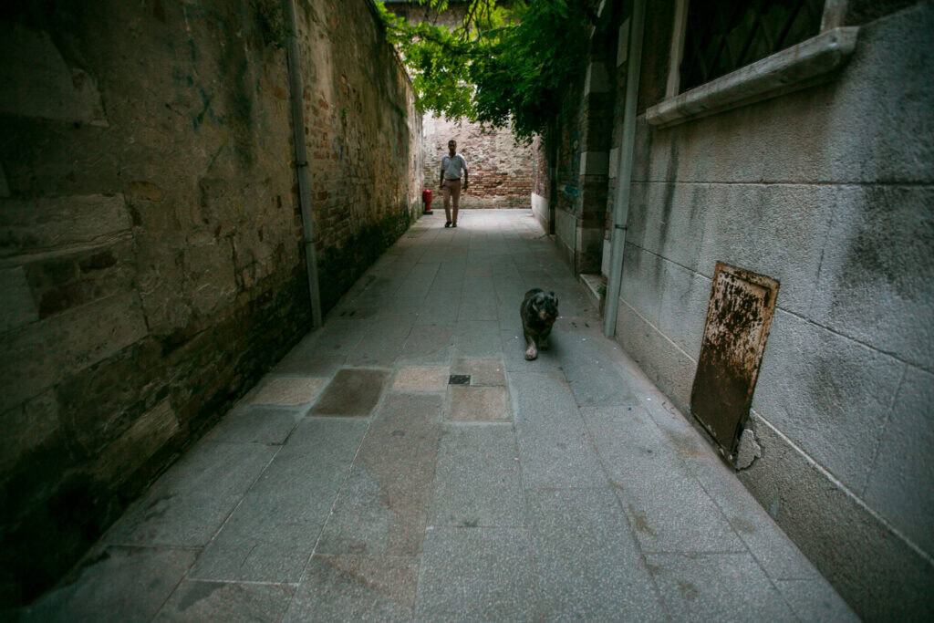 A person walks down a narrow stone alleyway behind a dog; the alley, bordered by old brick and stone walls with greenery overhead, evokes the charm of Venice and the insight of a local guide on your travel adventure.