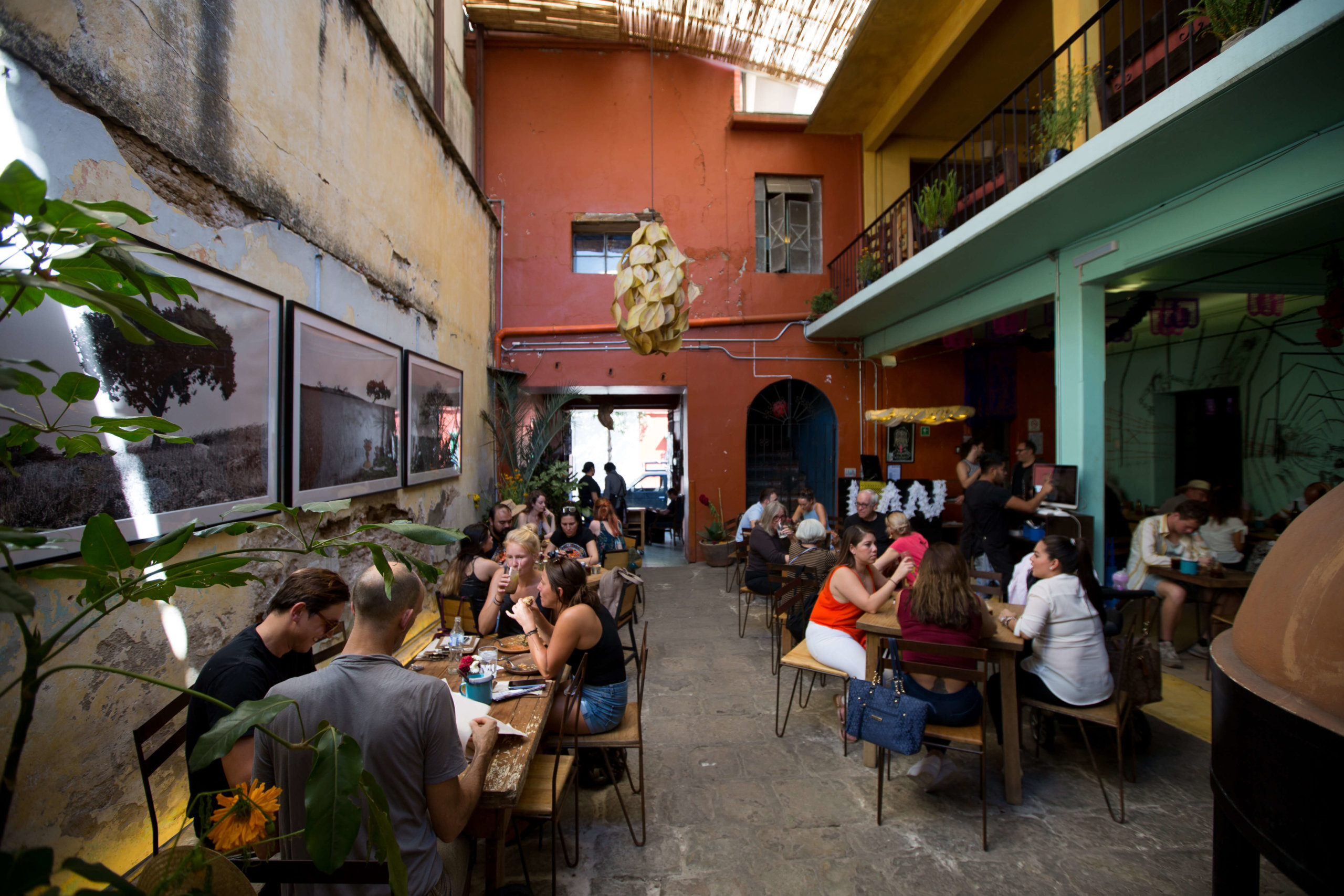 how to eat your way through oaxaca