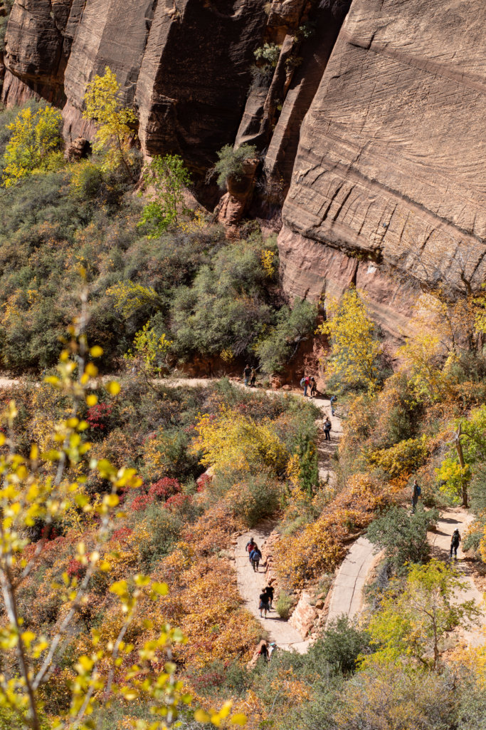 Angels Landing at Zion National Park