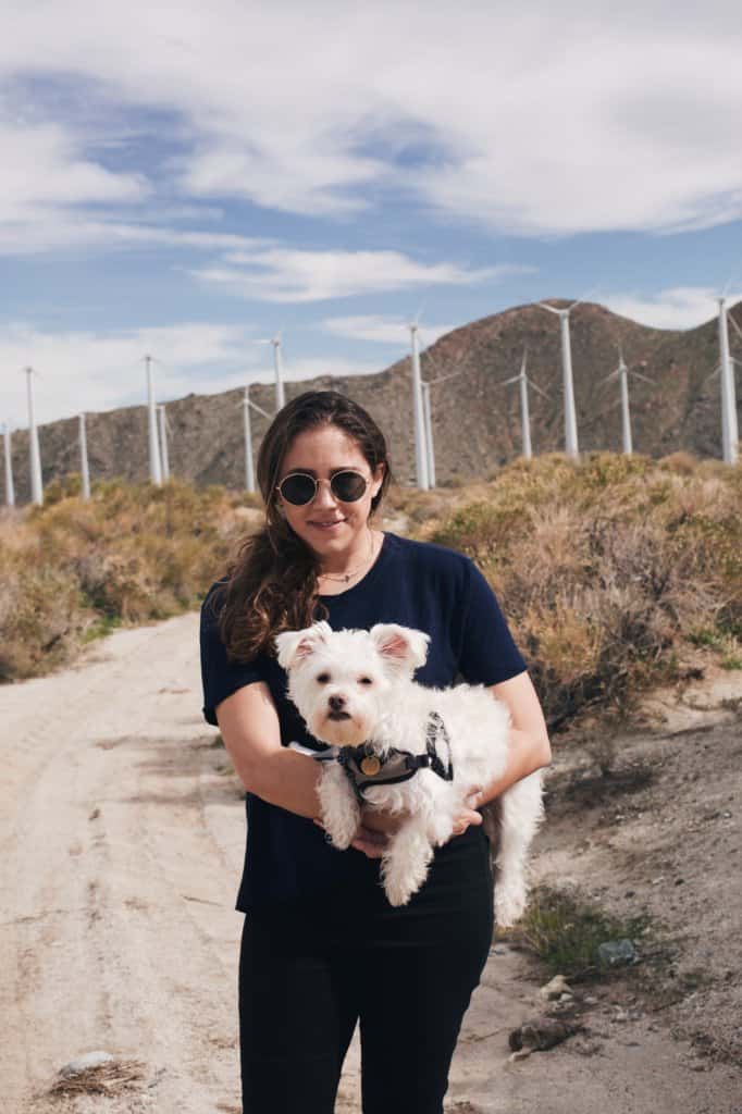 Palm Springs Instagram Spots - the windmills with my dog