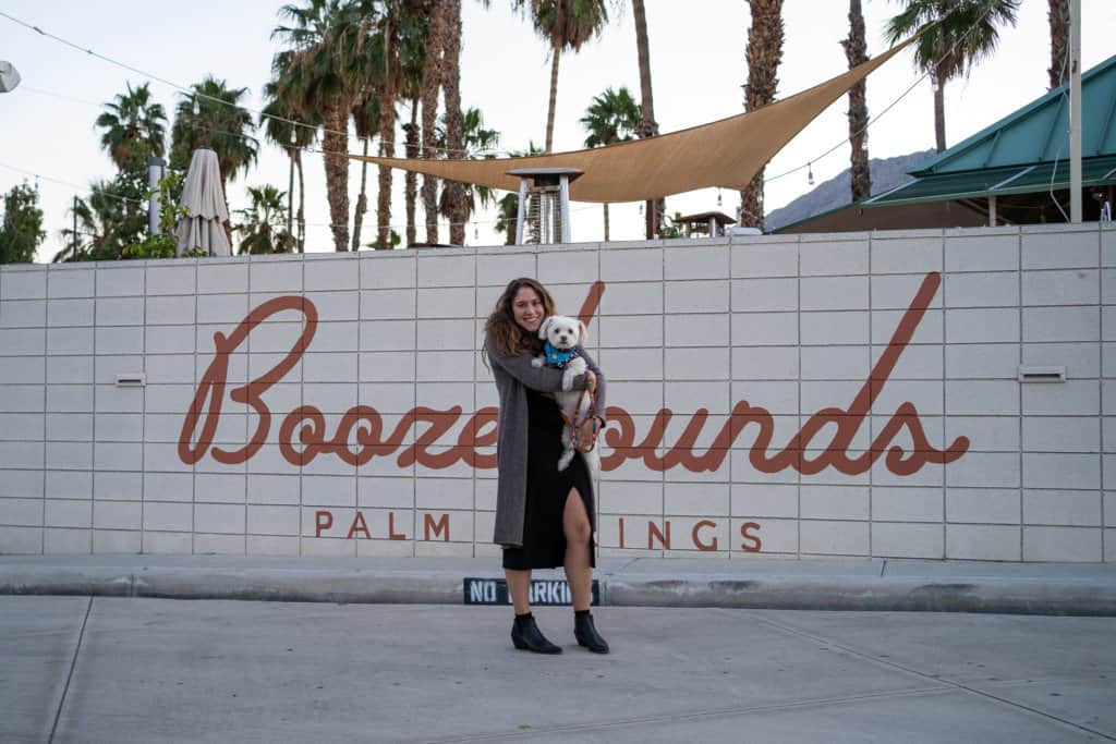 Palm Springs Instagram Spots - boozehounds palm springs