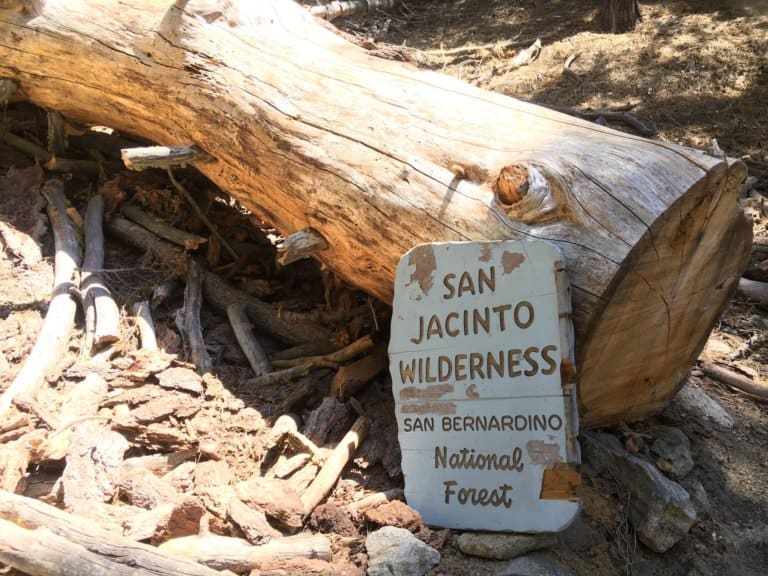best day trips from palm springs - san jacinto wilderness