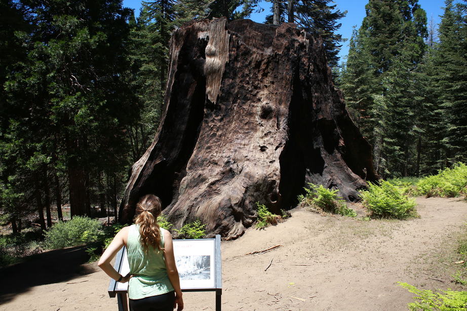 national parks near san diego Sequoia