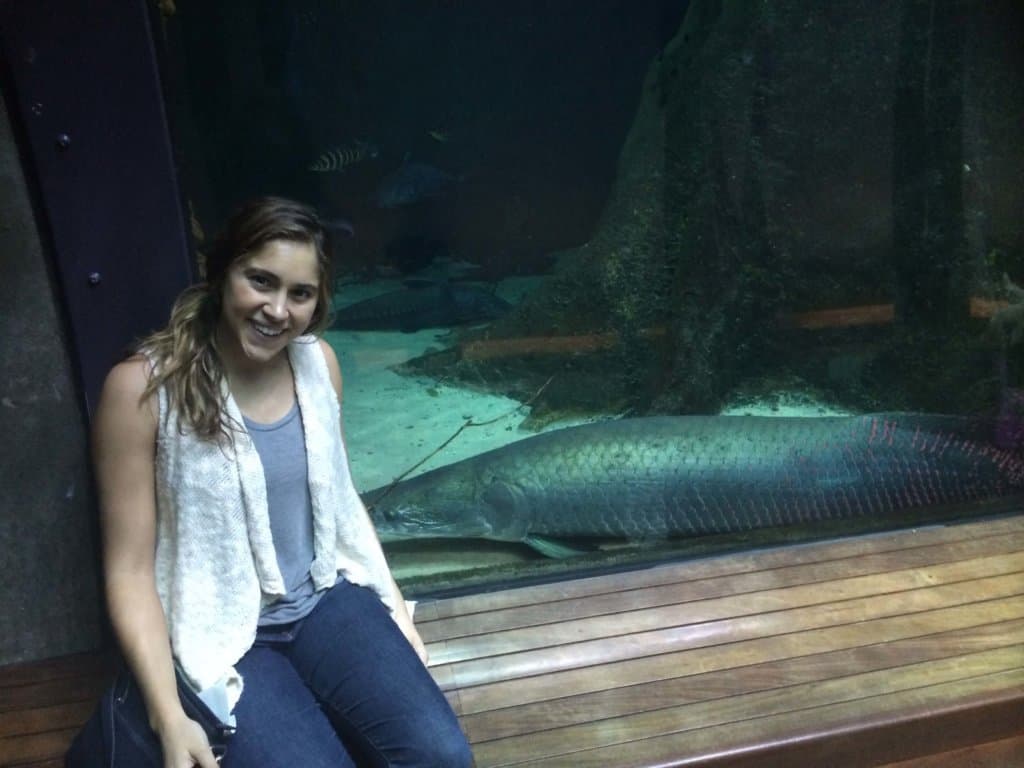 Solo Date ideas in San Francisco California Academy of Sciences