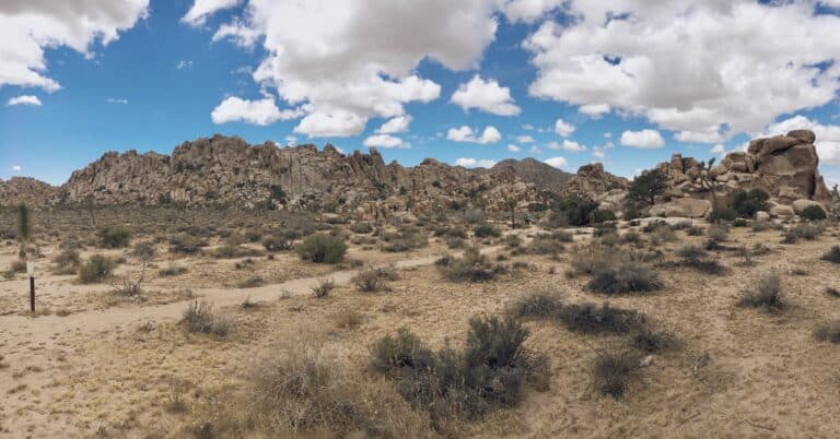 Visit Joshua Tree National Park near Palm Springs for a unique desert experience in California.