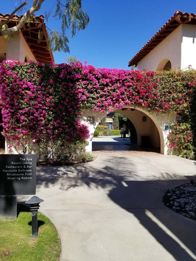 An archway of a building covered with vibrant pink bougainvillea, leading to a courtyard with clear blue skies above. Signs direct to various resort facilities including the best breakfast in Palm Springs.