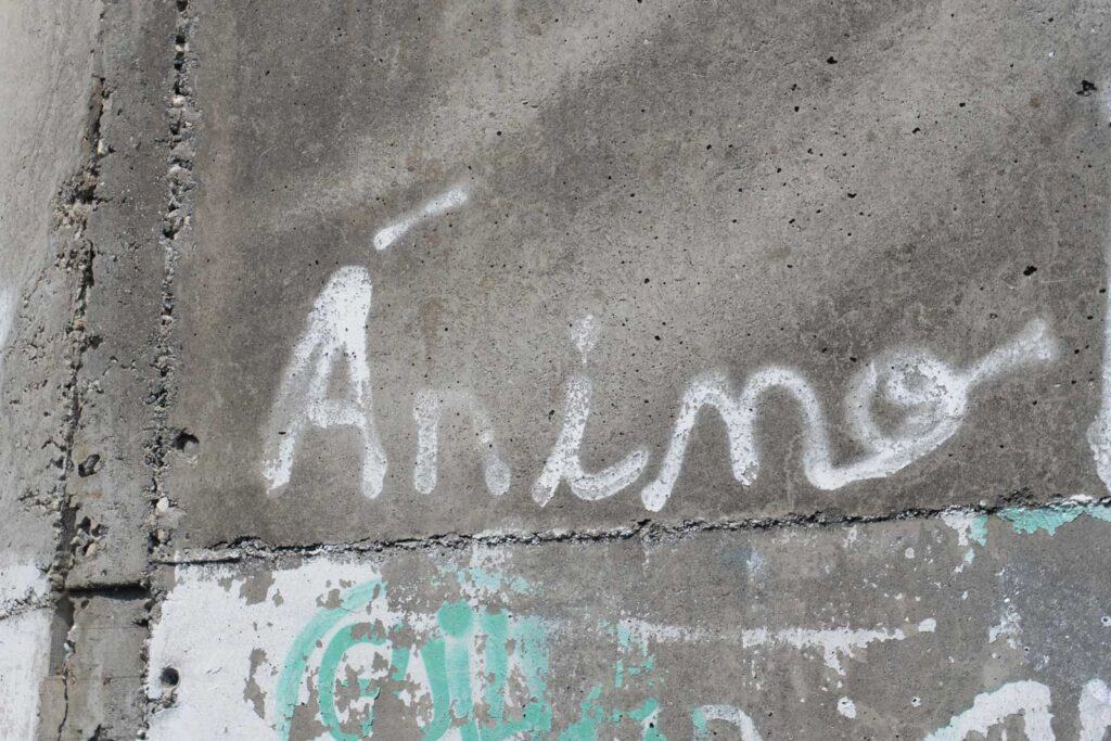 Graffiti of the word "Ánimo" is painted in white on a weathered concrete wall with faint traces of other graffiti, offering encouraging vibes to those seeking Camino de Santiago tips.
