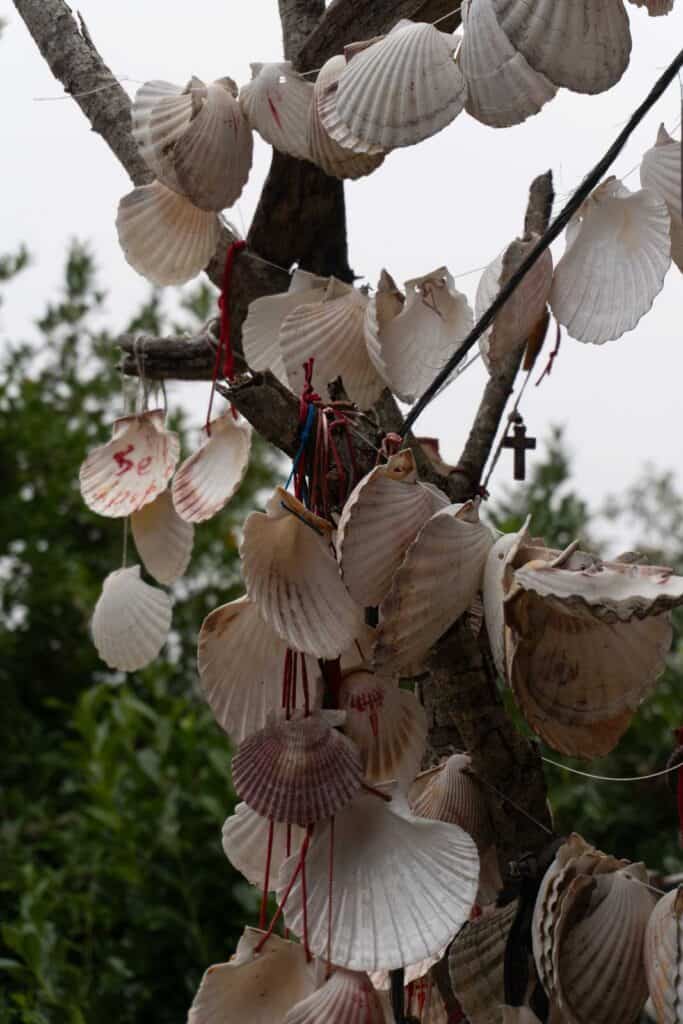 Numerous seashells attached to branches of a tree with red strings and cords, set against a background of green foliage and a cloudy sky, offers a serene moment for the weary traveler on the Camino de Santiago.