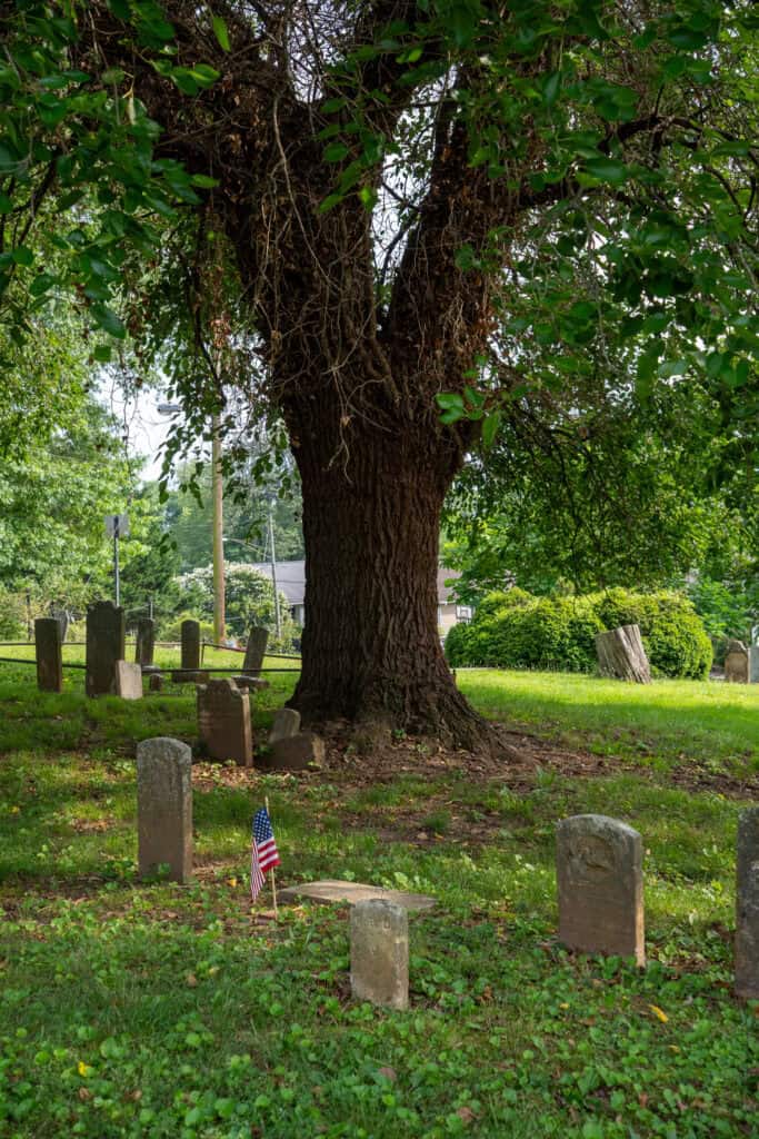 A large tree stands among old gravestones in a cemetery, with a small American flag placed before one. Not far away, travelers seek downtown Lynchburg hotels like those featured in a Craddock Terry Hotel review.