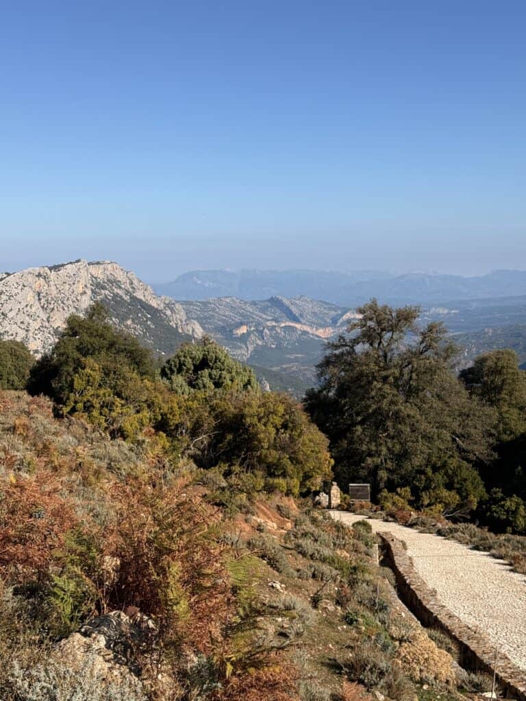 A rocky path winds through shrubland and trees, leading adventurers on the Gorropu Gorge hike with mountains and a clear blue sky visible in the background.