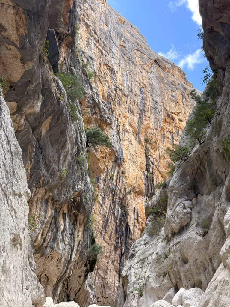 Steep rocky canyon walls rise toward a blue sky with scattered clouds; sparse green vegetation clings to the rock surfaces along the breathtaking Gorropu Canyon.