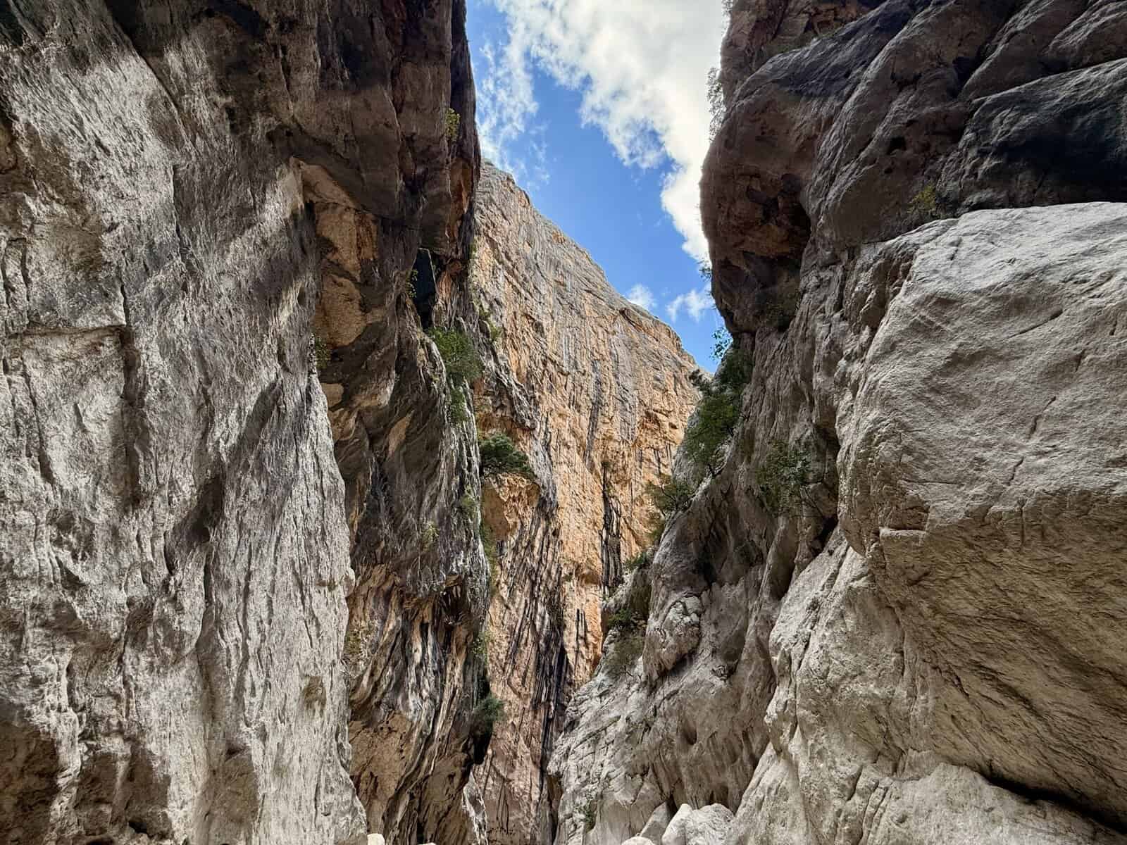 Tall rocky canyon walls with a narrow gap open to blue sky and clouds, small patches of greenery growing on the rock faces evoke the dramatic beauty of Gorropu Canyon in Sardinia.