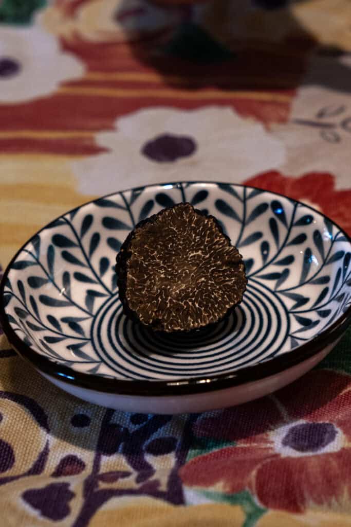 A sliced black truffle, found during truffle hunting in Tuscany, sits in a patterned ceramic bowl on a colorful floral tablecloth.