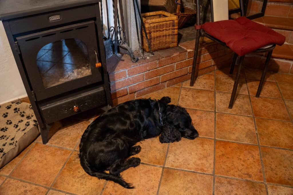 A black dog, perhaps dreaming of truffle hunting in Tuscany, is lying on a tiled floor beside a wood stove, near a brick hearth, a chair with a red cushion, and a basket.